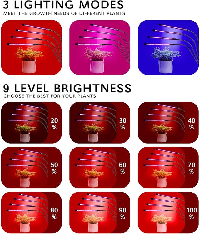 LUCES DE CULTIVO EN INTERIORES