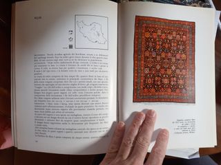 Il libro del tappeto - Fabio Formenton