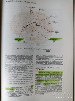 Manuale Di Neurologia Clinica
