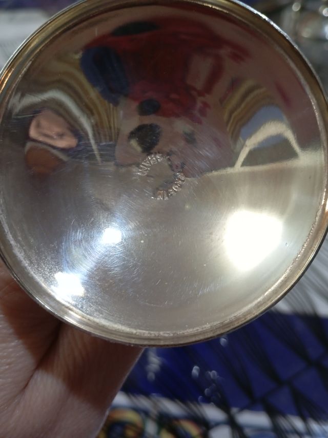 Bandeja plateada con 6 copas