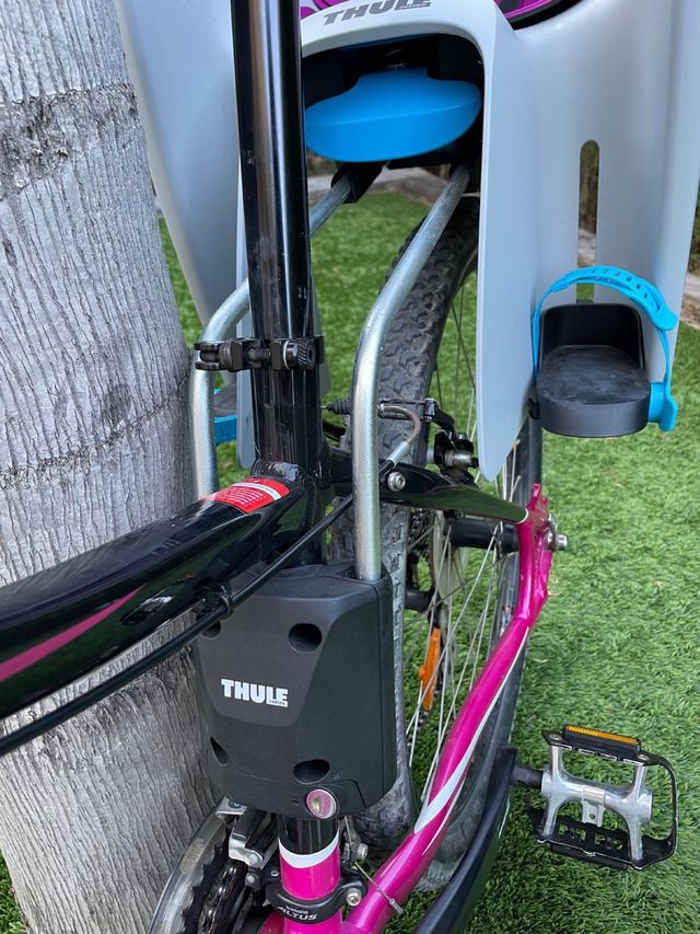 Silla bicicleta portaniños Thule RideAlong
