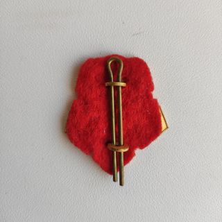 Vintage Insignia de gorra regimiento