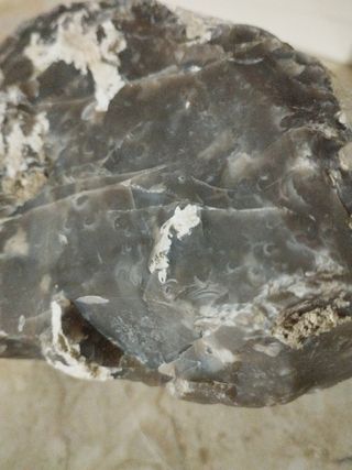 Pietra grezza 2,600kg