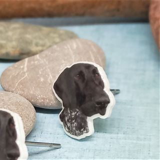 Pendientes de perro braco aleman. Perro pointer