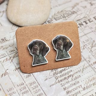 Pendientes de perro braco aleman. Perro pointer