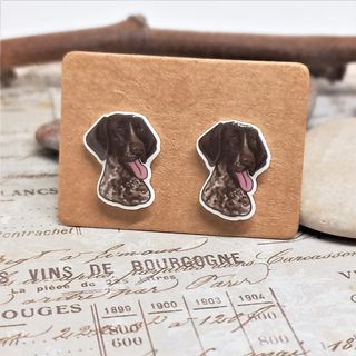 Pendientes de perro braco aleman. Perro pointer
