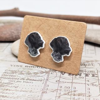 Pendientes de perro braco aleman. Perro pointer