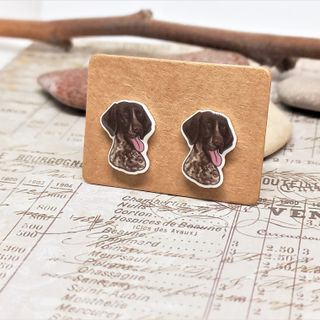 Pendientes de perro braco aleman. Perro pointer