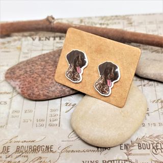Pendientes de perro braco aleman. Perro pointer