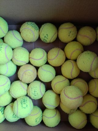 Pelotas tenis o pádel dunlop a 0,34 ctms