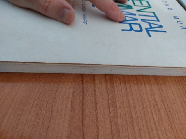 ESSENTIAL GRAMMAR IN USE