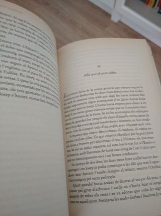 El Celler (Catalan Edition)