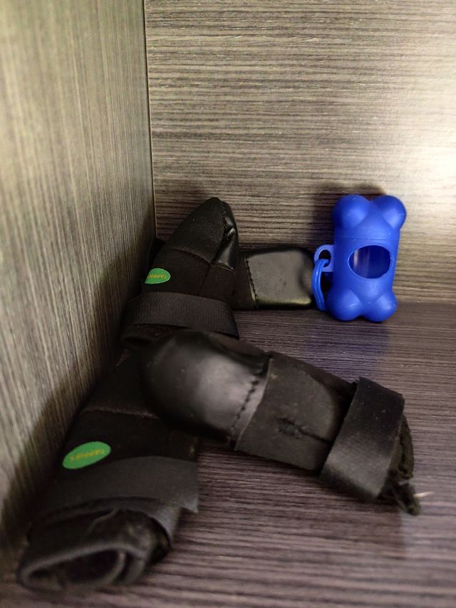 Meias de neoprene para cães