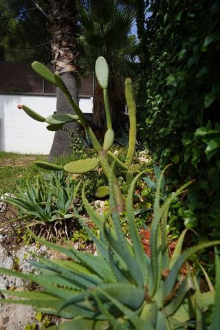 Chalet en venta en La Mora en Tarragona