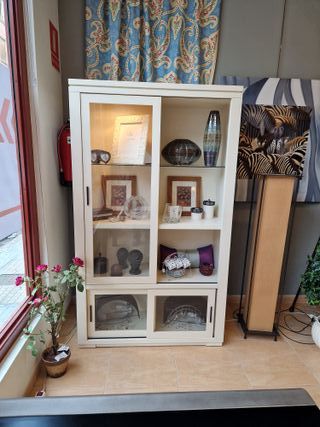 Vitrina librería con luz