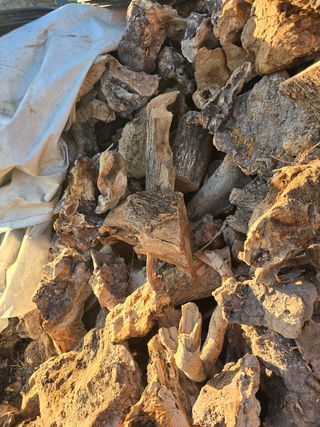 Sacchi per legna da ardere ca. 20k