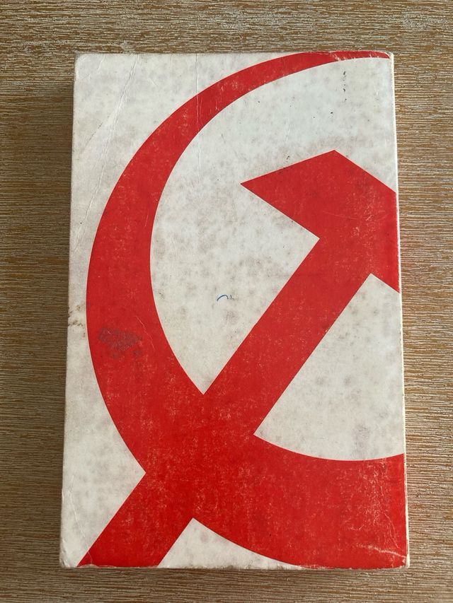 Radicalismo Pequeno-Burguês de Fachada Socialista