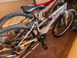 Bicicleta