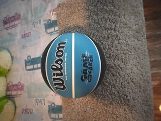 Pelota de baloncesto