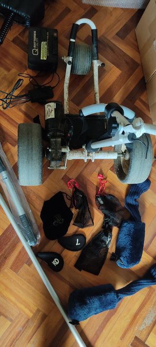 Juego palos de golf y carrito eléctrico