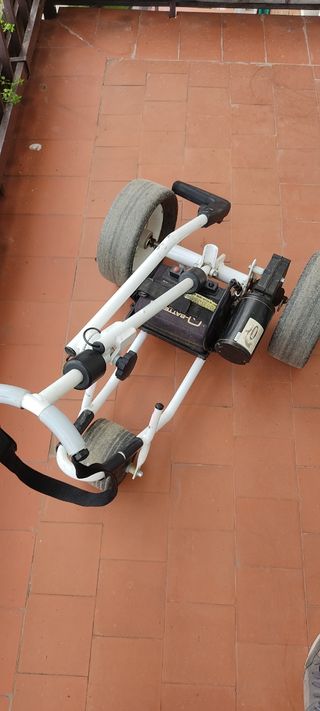 Juego palos de golf y carrito eléctrico