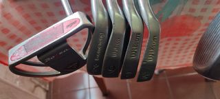 Juego palos de golf y carrito eléctrico