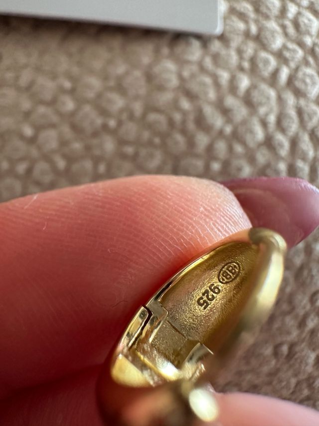 Brincos Prata Bijou Brigitte