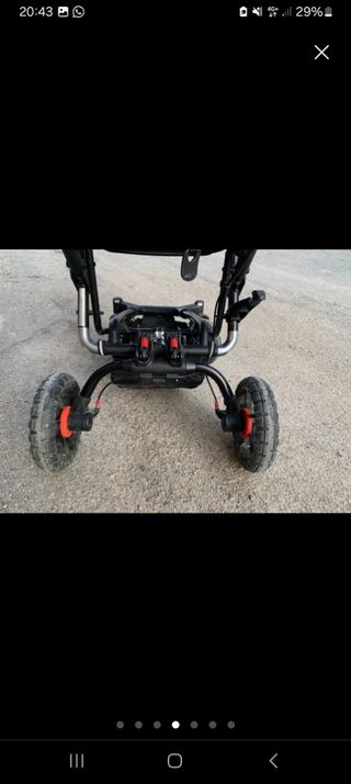 Trio con Jane Crosswalk