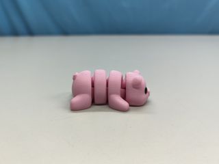 Mini pig