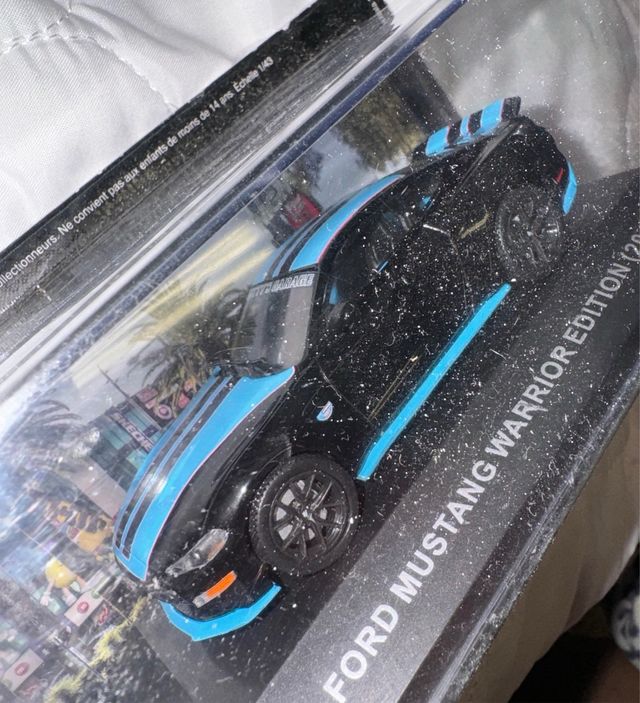 Ford mustang warrior