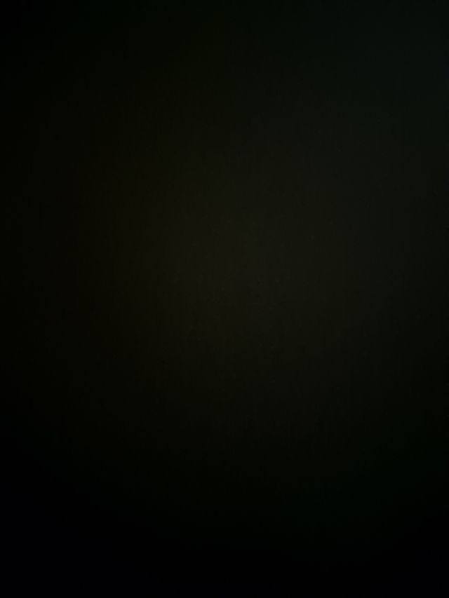 Bottiglia di gin Magallanes vuota