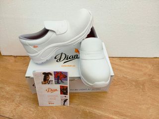 Zapatos trabajo Dian