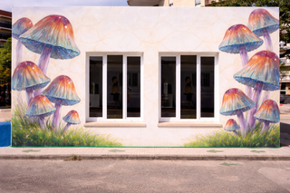 PINTOR DECORADOR GRAFFITI MURALISMO ARTE COMERCIAL