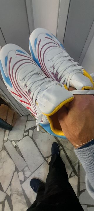 Sneakers Sportive Flair N41