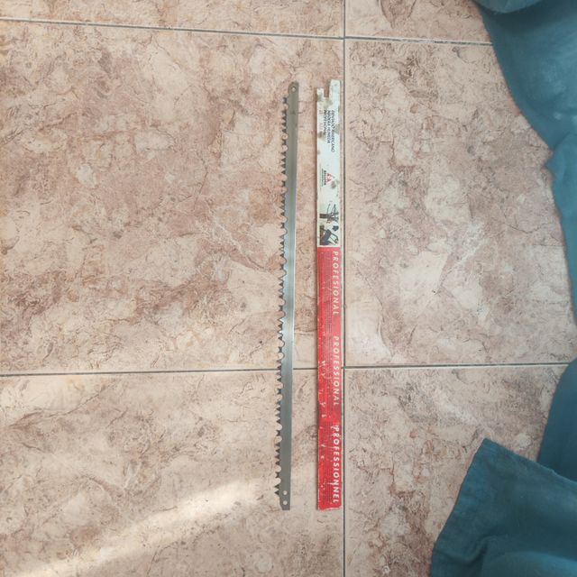 Sierra dentado americano