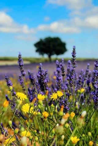 Sesión fotográfica
