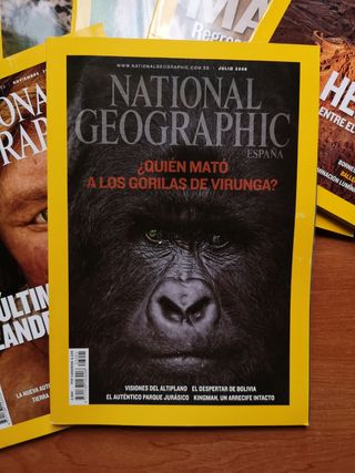 Lote Revistas National Geographic