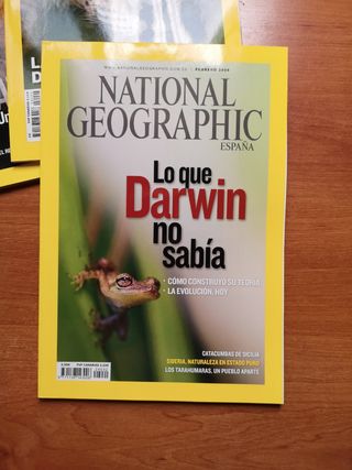 Lote Revistas National Geographic