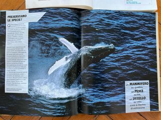 Set due volumi sulla Terra