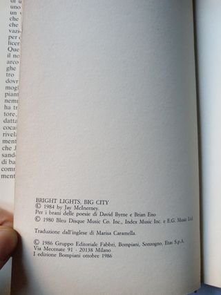 Jay McInerney Le mille luci di New York