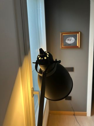 Lampada a terra nera opaca