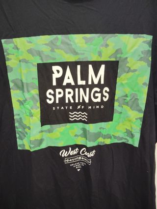 Camiseta palm springs 