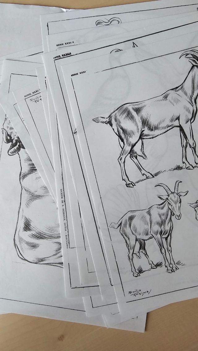 Láminas de dibujo Emilio Freixas 