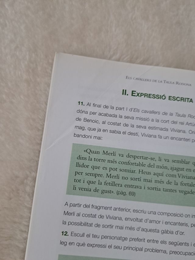 Els Cavallers de la Taula Rodona