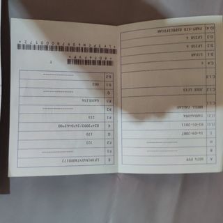 Motocicleta LIFAN lf250-4