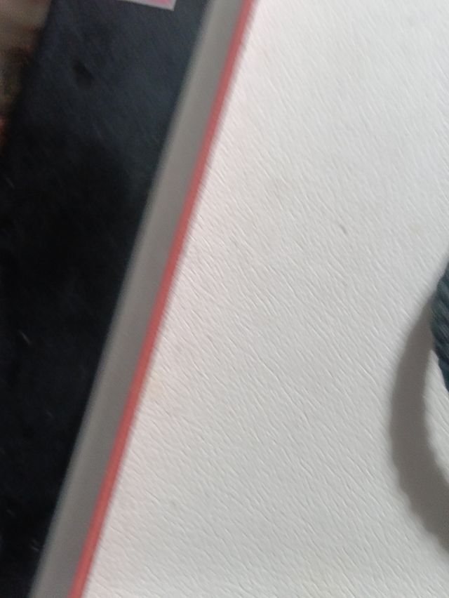 Cronometro Casio HS-20