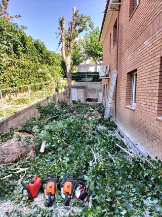 Jardinero profesional 632472573