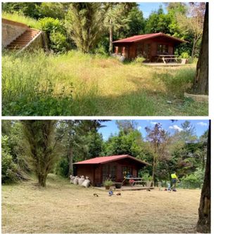 Jardinero profesional 632472573