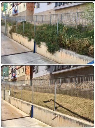 Jardinero profesional 632472573