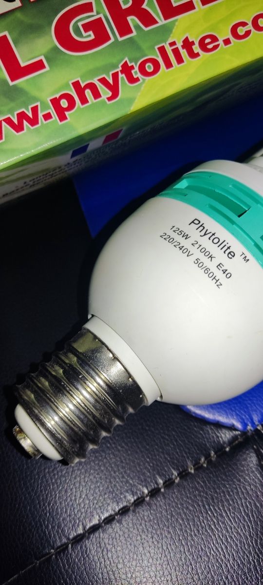 KIT LAMPADINE A RISPARMIO ENERGETICO CFL PHYTOLITE 125W